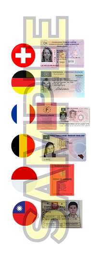 Sample driver's license