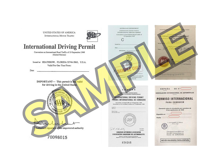 Sample 1949 international driving permit